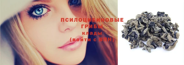крисы Арсеньев