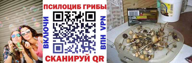 продажа наркотиков  Кувшиново  Галлюциногенные грибы мухоморы 